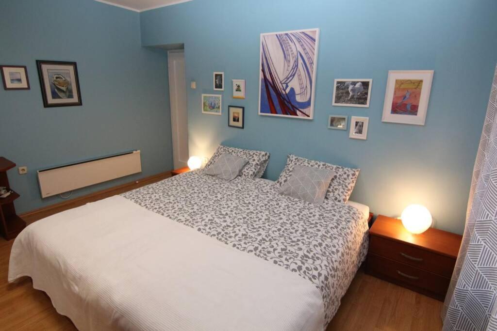 Fast Friend - Cozy Apartment In The Center With Private Garage Рийека Екстериор снимка
